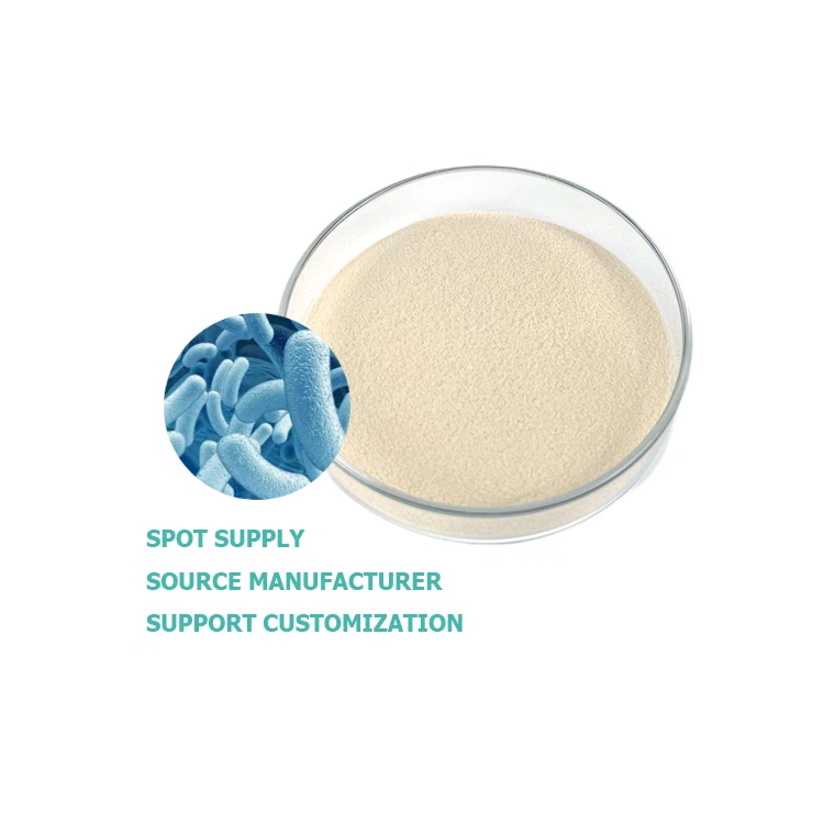 Brevibacillus més tard