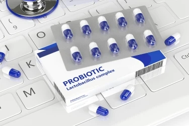 Introducció a Lactobacillus
