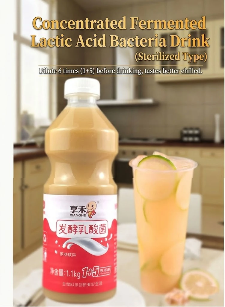 Fermented lactic acid bacteria beverage Fermented lactic acid bacteria beverage